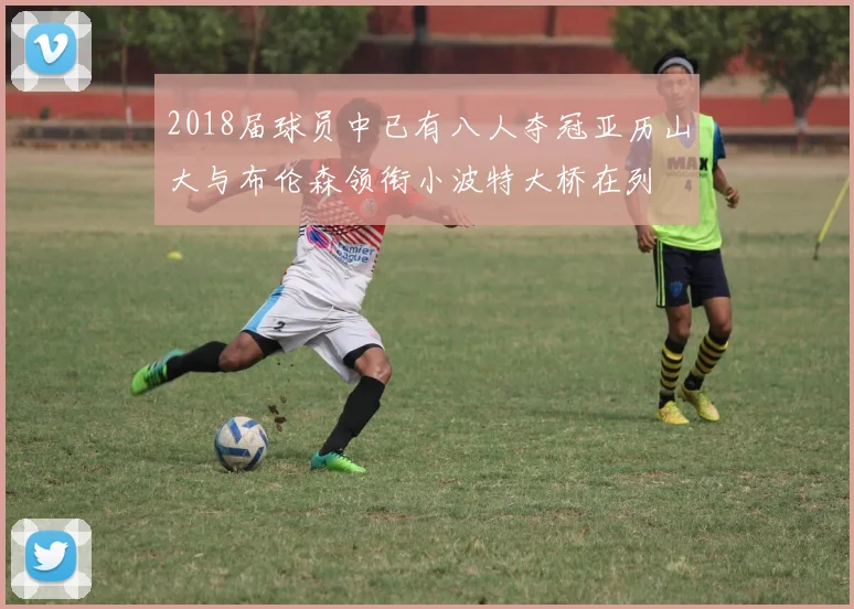 2018届球员中已有八人夺冠亚历山大与布伦森领衔小波特大桥在列