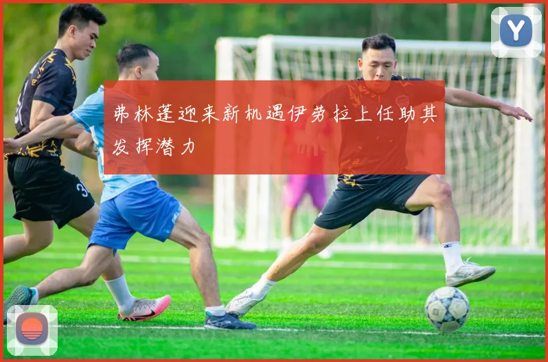 弗林蓬迎来新机遇伊劳拉上任助其发挥潜力